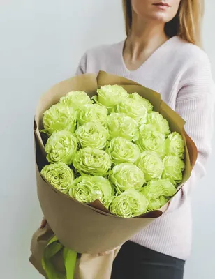 Зеленые розы купить с доставкой по Минску - Acuba di Flora