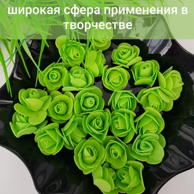 Зеленые кустовые пионовидные розы в коробке