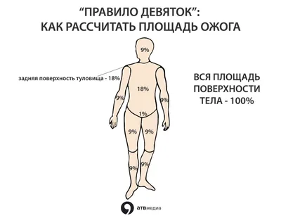 Как избавиться от шрамов, сделать менее заметными, скрыть и замаскировать  рубцы