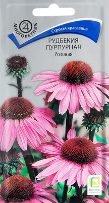 Рудбекии многолетние Бамбук Shop Гибискус - купить по выгодным ценам в  интернет-магазине OZON (796162132)