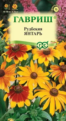 Семена рудбекия Русский огород Пурпур 703350 1 уп. - характеристики и  описание на Мегамаркет