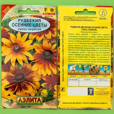 Саженцы рудбекии многолетней - купить в каталоге питомника SlavUsadba.ru