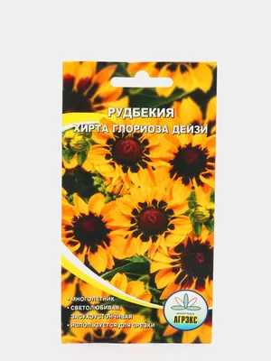 Рудбекии многолетние Русский огород 703350 - купить по выгодным ценам в  интернет-магазине OZON (238363938)
