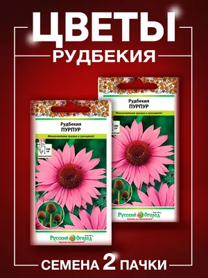 Рудбекия многолетняя — Жизнь Растений