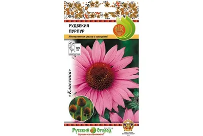 Рудбекия рассечённая, Золотой шар (Rudbeckia laciniata) - «Огромные желтые  шары рудбекии» | отзывы