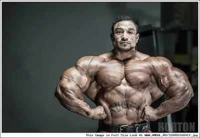 Рулли Винклаар (Roelly Winklaar), фотографии, биография, соревнования,  бодибилдинг