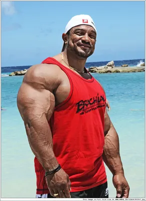 Рулли Винклаар (Roelly Winklaar), фотографии, биография, соревнования,  бодибилдинг