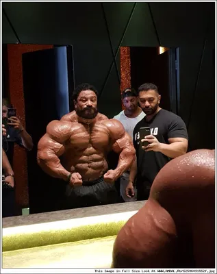 Рулли Винклаар (Roelly Winklaar), Мистер Олимпия 2018 года, фотографии,  биография, соревнования, бодибилдинг