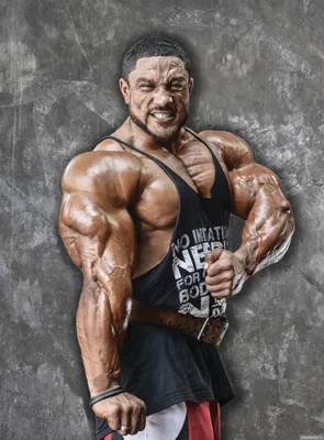 Рулли Винклаар (Roelly Winklaar), Натан Де Аша (Nathan De Asha), Брэндон  Карри (Brandon Curry), Ахмед Хамад Ашканани (Ahmed Hamad… | Bodybuilding,  Curry, Historical