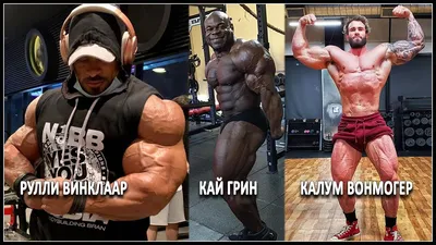 2016 Roelly Winklaar! road to Mr Olympia - YouTube