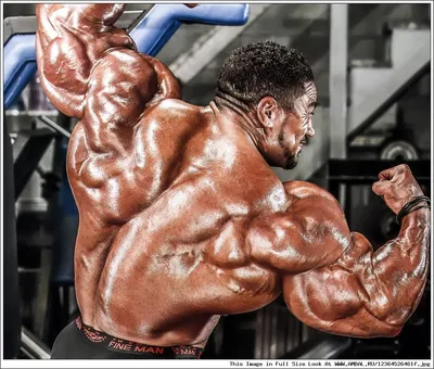 Рулли Винклаар (Roelly Winklaar), фотографии, биография, соревнования,  бодибилдинг