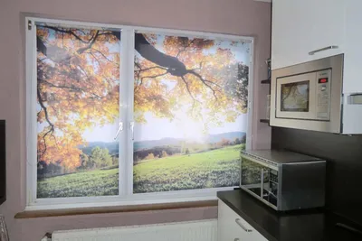 Рулонные шторы 57 см день ночь на окна с рисунком Design Studio 3D  172749330 купить за 583 900 сум в интернет-магазине Wildberries