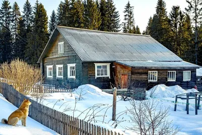 Русская деревня зимой» — создано в Шедевруме