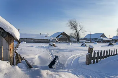 Фотография Русская деревня зимой из раздела путешествия #7123840 -  фото.сайт - sight.photo