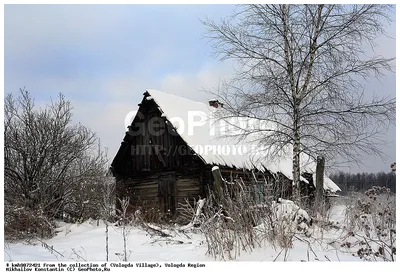 Русская деревня: зима 2010-11 » BigPicture.ru