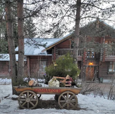 Зима. Имоченцы, фото русской зимы. Фотография, деревня зимой, земля в снегу