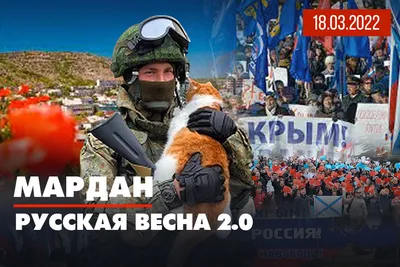 Дмитрий Стешин - из-под Мариуполя: АТО для Украины был инкубатором для  людей, которые участвуют в сегодняшних событиях