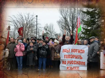 Русская весна» в Николаеве: «Начало» | Позывной Еж | Дзен