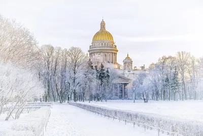 Русская Зима ❄️ действительно, мороз снежком укутывал … волшебно | Instagram