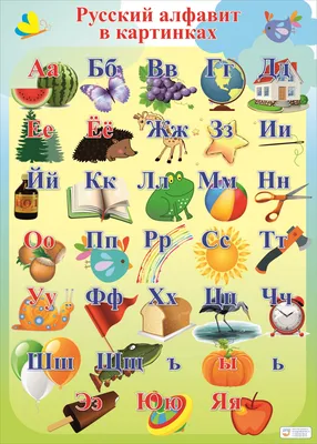 Русский алфавит. Плакат ламинированный двусторонний - купить  демонстрационные материалы для школы в интернет-магазинах, цены на  Мегамаркет |