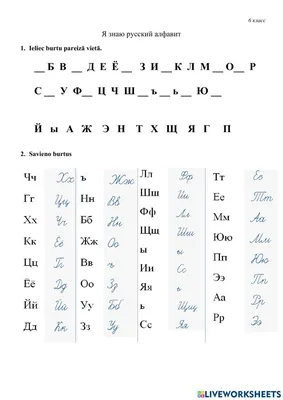 Цветной «Русский алфавит», 24 × 24 см, в пакете купить в Чите Развивающие  игры в интернет-магазине Чита.дети (9939746)