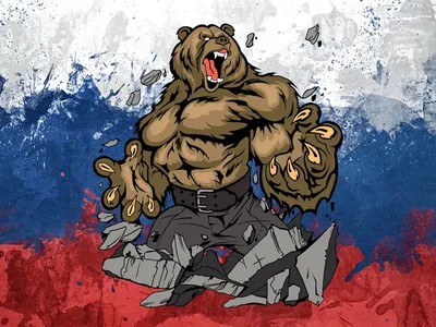 Русский медведь фотографии