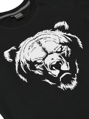 Фото русского медведя с деталями: скачать бесплатно png