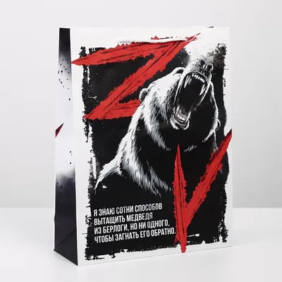 Медведи в фокусе: коллекция красивых русских медведей в хорошем качестве