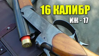 Ружье ИЖ-17 16 калибра 1952 года | УКРАЇНСЬКЕ ТОВАРИСТВО МИСЛИВЦІВ І РИБАЛОК
