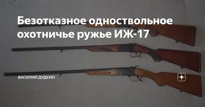 ИЖ 17 [16 к] приклад и цевье РЯДОВОЙ из ореха | AliExpress