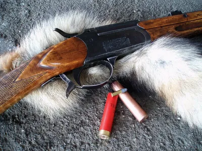 ИЖ-17. 16кал