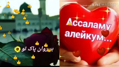 чума Муборак | TikTok