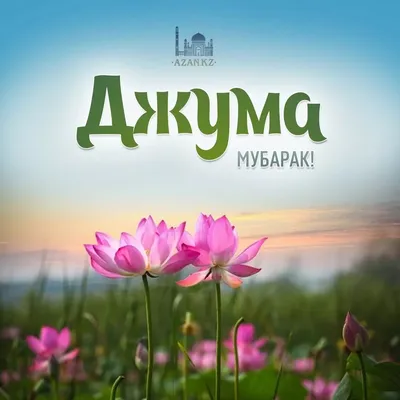 Картинки чумъа муборак (70 фото) » Юмор, позитив и много смешных картинок