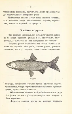 Книга Картотека предметных картинок. Выпуск 10. Аквариумные и пресноводные  рыбы. Насекомые и пауки. 3-7 лет.(Новый формат) ФГОС. Наглядный  дидактический мат • Нищева Н.В. - купить по цене 211 руб. в  интернет-магазине Inet-kniga.ru |