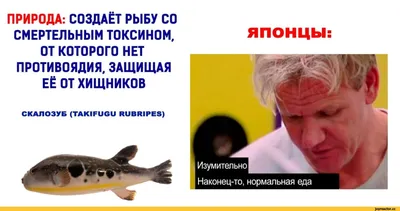 Белая пресноводная рыба - картинки и фото poknok.art