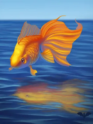 Раскраска рыбы картинки. картинки рыб рыбы