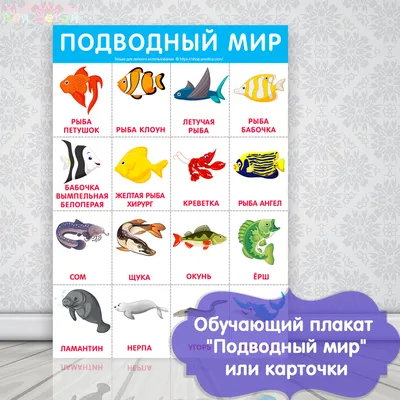 Рыба-Кит. Веселые картинки, , купить книгу 978-5-00040-207-8 – Лавка  Бабуин, Киев, Украина