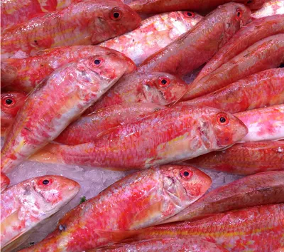 БАРАБУЛЬКА – Морепродукты и рыба из России. Ларек-Кулек