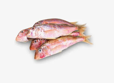 Барабулька SeaFood целая свежемороженая кг | Замороженная рыба | Arbuz.kz