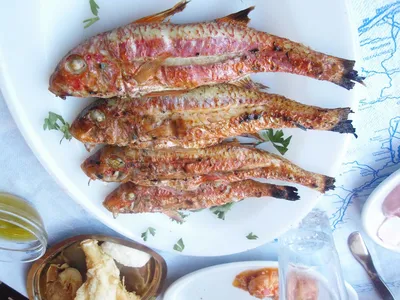 Барабулька – рыбешка, покорившая многие народы - Музей Рыбы и Рыболовства