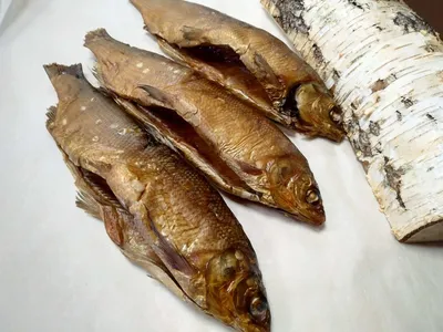 Чир с/м 0,7-1 кг купить в Москве по цене 656 руб. – FROST FISH