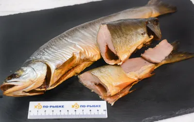 Боганидский голец: почему это самая полезная рыба