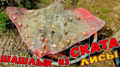 Водные перевозки грузов в Геленджике - Перевозки и курьеры: 27 перевозчиков