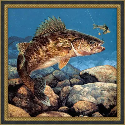 ОЛИВА И РЫБА 🐟🌿🫒 (@oliva.i.riba) • Instagram photos and videos