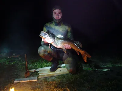 🐟 Купить рыбу черноморскую по цене от 490 руб в Москве – интернет-магазин  Дикоед
