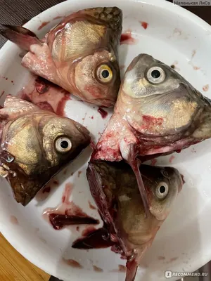 Разделка рыбы скат. Ray fish filleting - YouTube