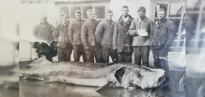Рыбалка на море в Краснодаре: 35 исполнителей с отзывами и ценами на Яндекс  Услугах.