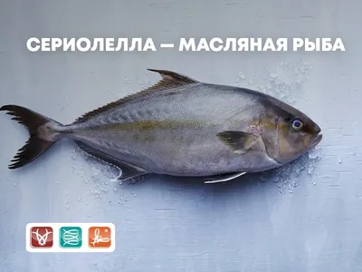 Масляная рыба холодного копчения филе-ломтики 150г купить c доставкой на  дом в интернет-магазине КуулКлевер