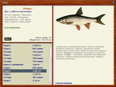 Подуст рыба - картинки и фото poknok.art