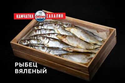 РЫБА РЫБЕЦ сушеная: 500 тг. - Продукты питания / напитки Атырау на Olx